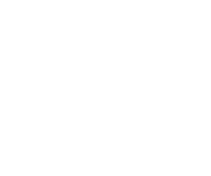omorovicza