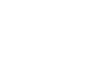 t3
